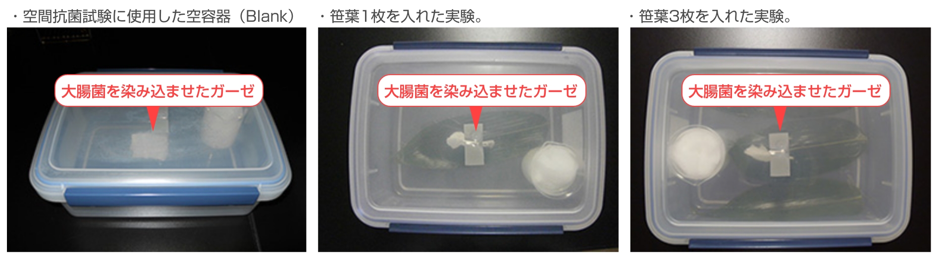 ԍRێEEEgpێG咰